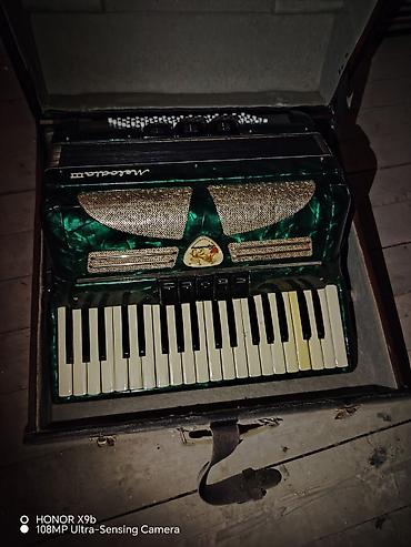 Akustik Akkordeon - şəkil 2