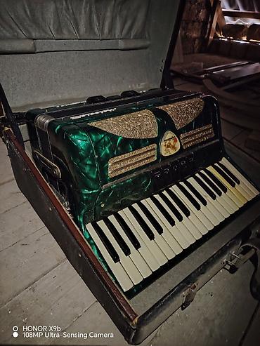 Akustik Akkordeon - şəkil 4