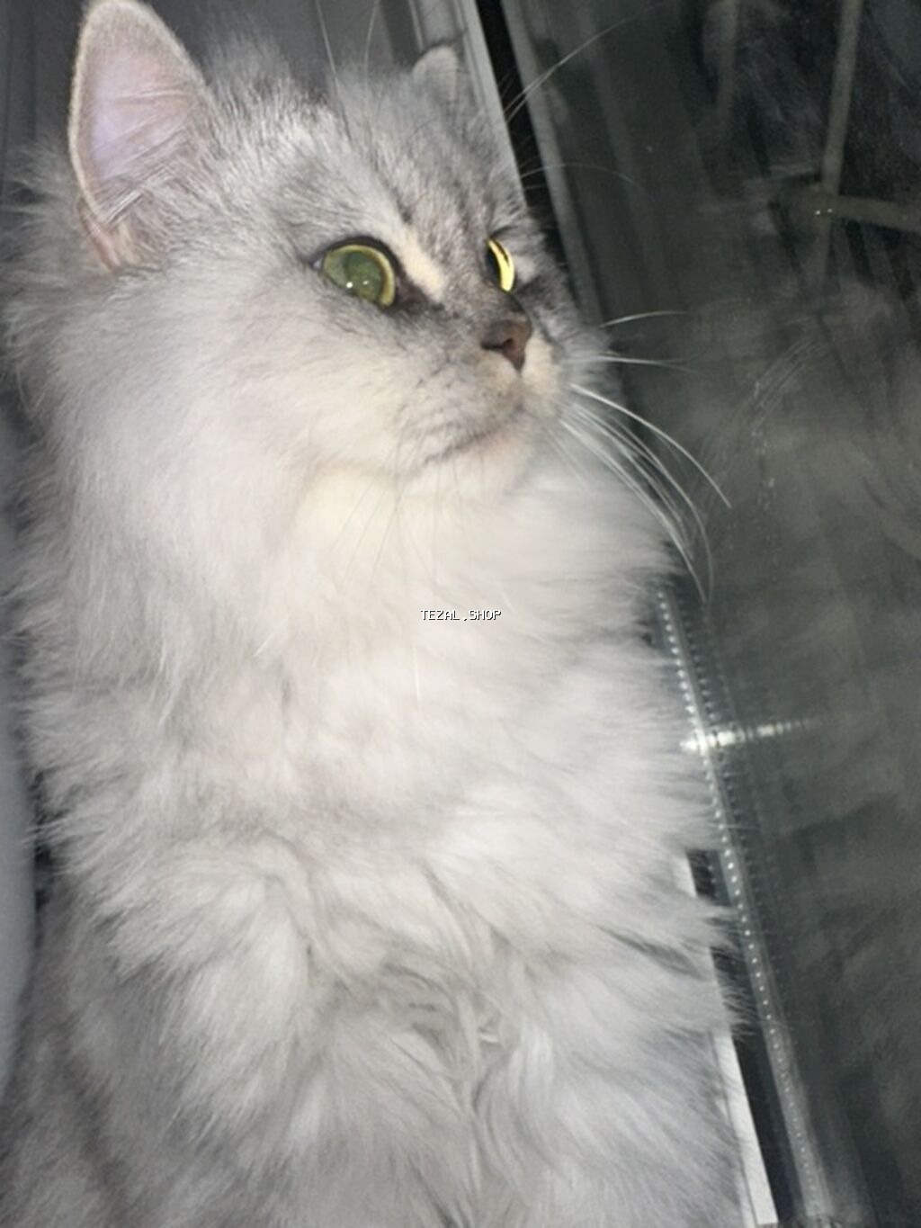 Yaxşı əllərə