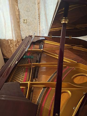 Royal, Akustik, Yeni, Pulsuz çatdırılma - şəkil 5