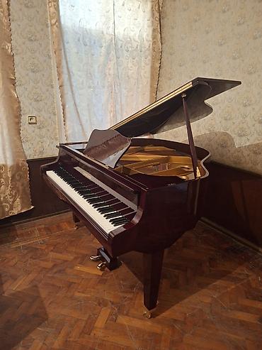 Royal, Akustik, Yeni, Pulsuz çatdırılma - şəkil 4