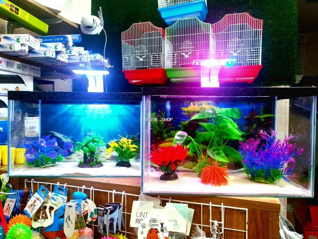 Dördbucaq akvarium, Balıqlarla birlikdə, 18 l, Ünvandan götürmə, Pulsuz çatdırılma, Ödənişli çatdırılma