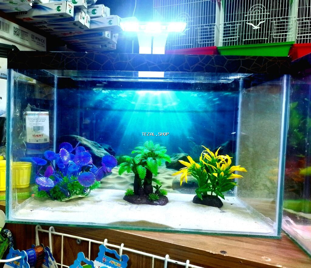 Dördbucaq akvarium, Balıqlarla birlikdə, 18 l, Ünvandan götürmə, Pulsuz çatdırılma, Ödənişli çatdırılma - şəkil 2