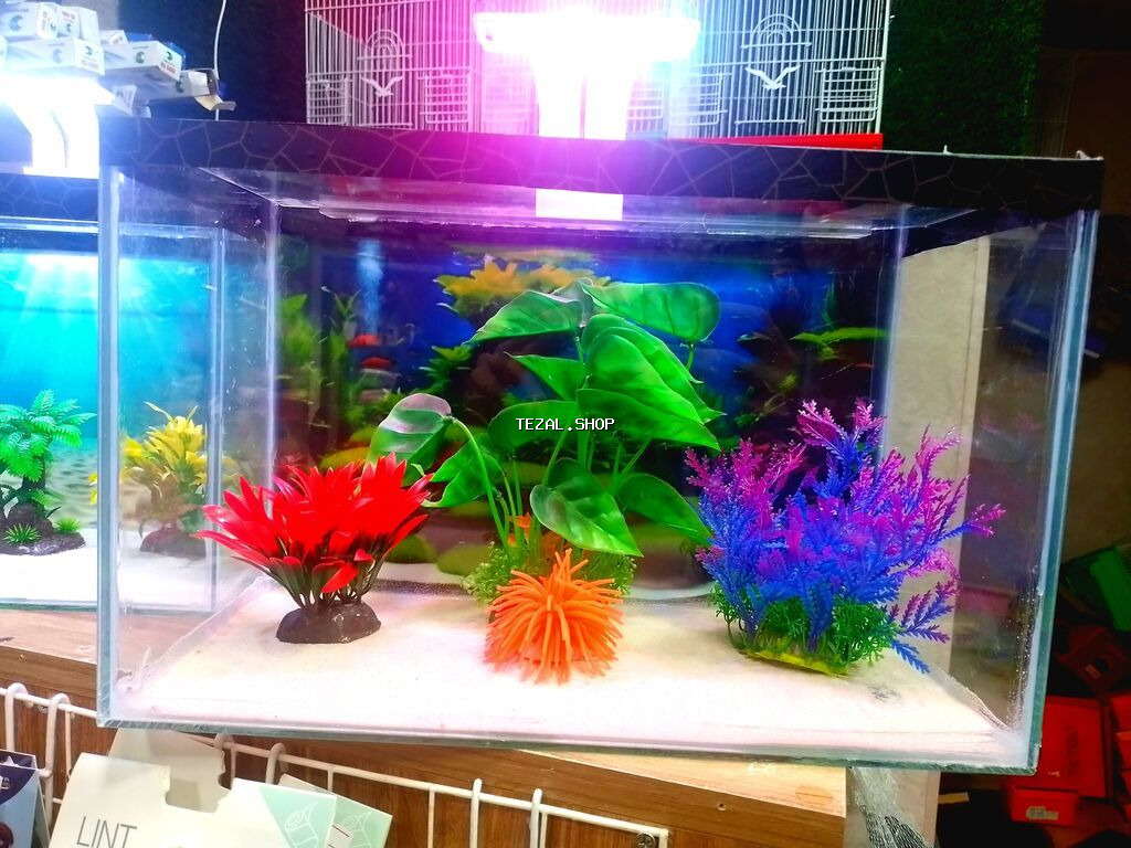 Dördbucaq akvarium, Balıqlarla birlikdə, 18 l, Ünvandan götürmə, Pulsuz çatdırılma, Ödənişli çatdırılma - şəkil 3