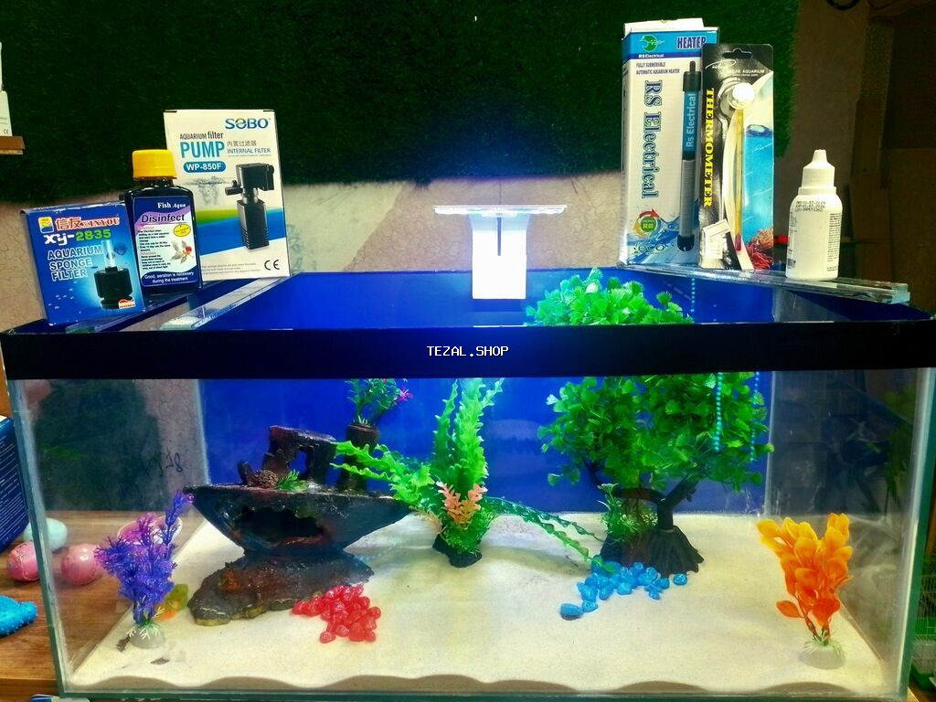 Dördbucaq akvarium, Balıqlarla birlikdə, 18 l, Ünvandan götürmə, Pulsuz çatdırılma, Ödənişli çatdırılma - şəkil 4