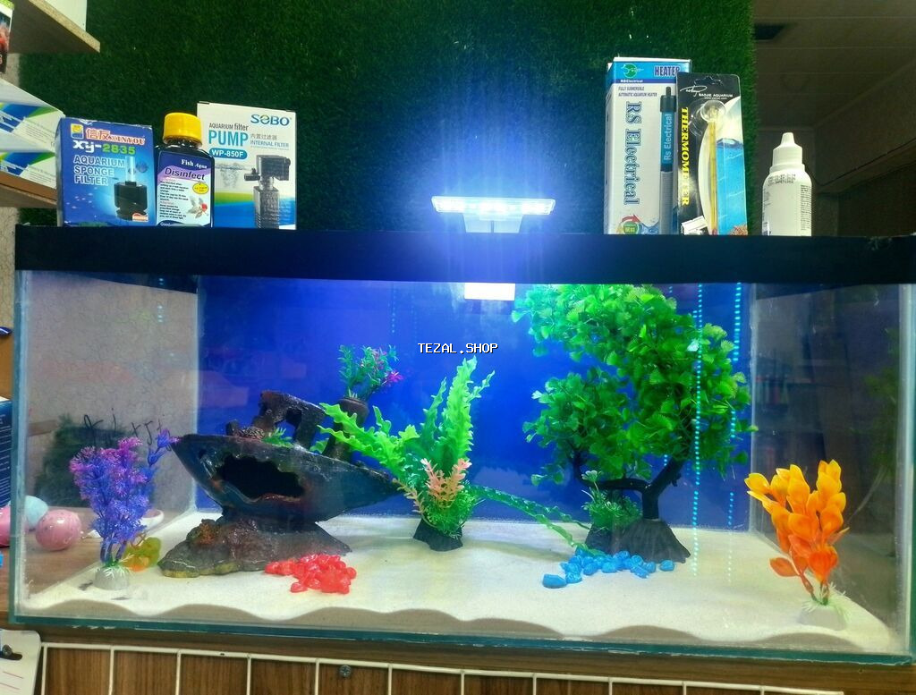 Dördbucaq akvarium, Balıqlarla birlikdə, 18 l, Ünvandan götürmə, Pulsuz çatdırılma, Ödənişli çatdırılma - şəkil 5