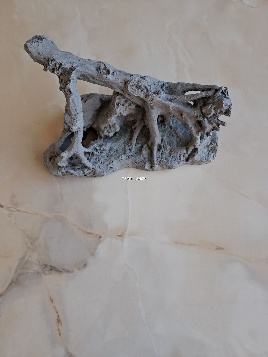 Akvarium suvineri,şəkildə göründüyü kimi və böyüklükdədi, Ünvan-20 - şəkil 2