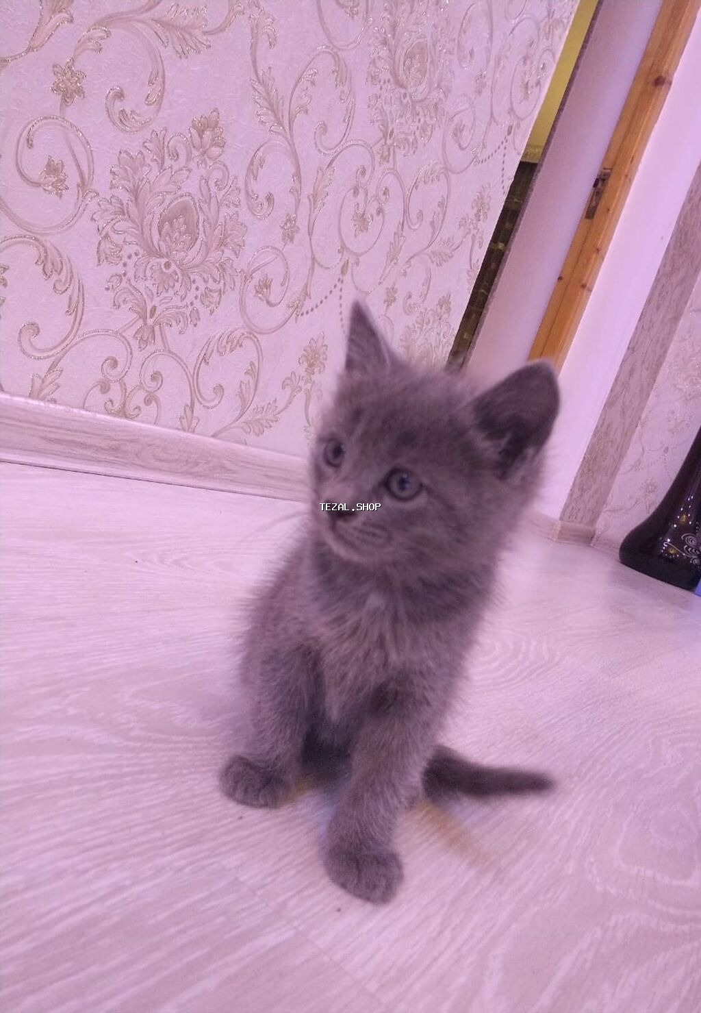 Erkək, Yaxşı əllərə, Ünvandan götürmə
