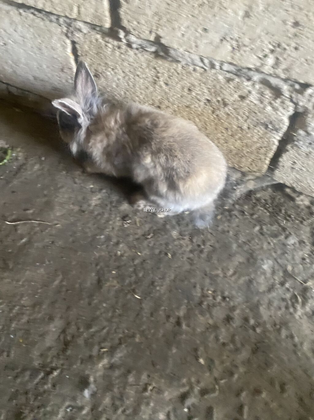 Satılır 2 Ədəd