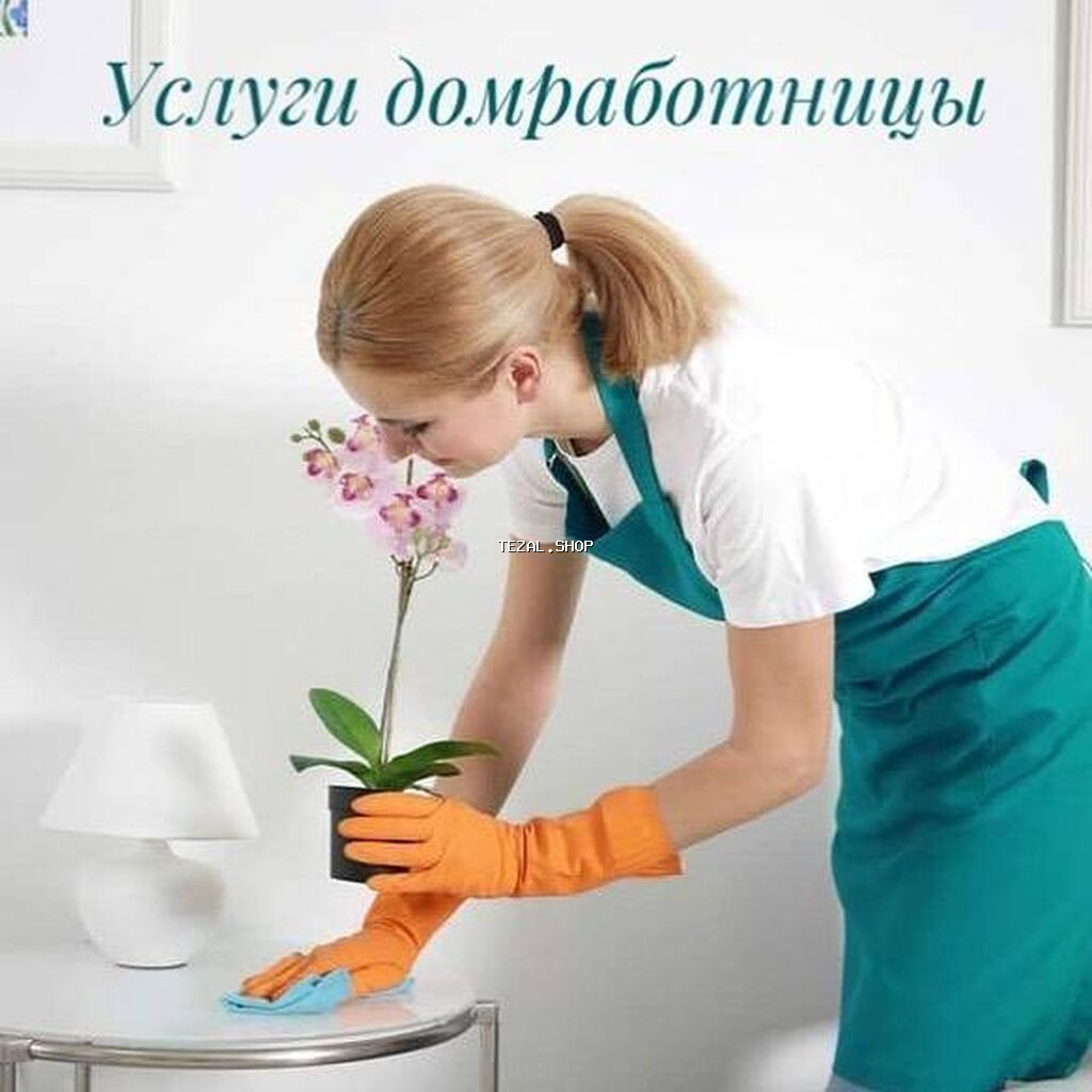 Ищу работу домработницы, (помощницы по хозяйству) без готовки .1-2раза