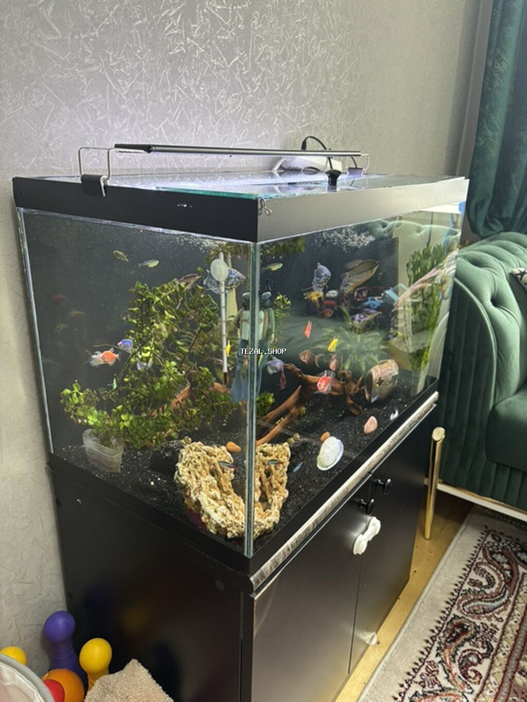 Akvarium-şkaf, Balıqlarla birlikdə, 130 l, Ünvandan götürmə