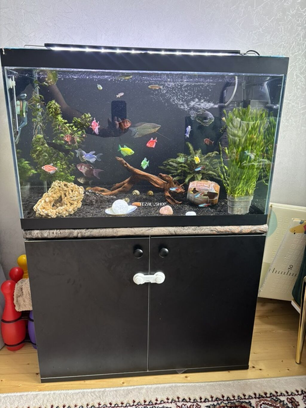 Akvarium-şkaf, Balıqlarla birlikdə, 130 l, Ünvandan götürmə - şəkil 2