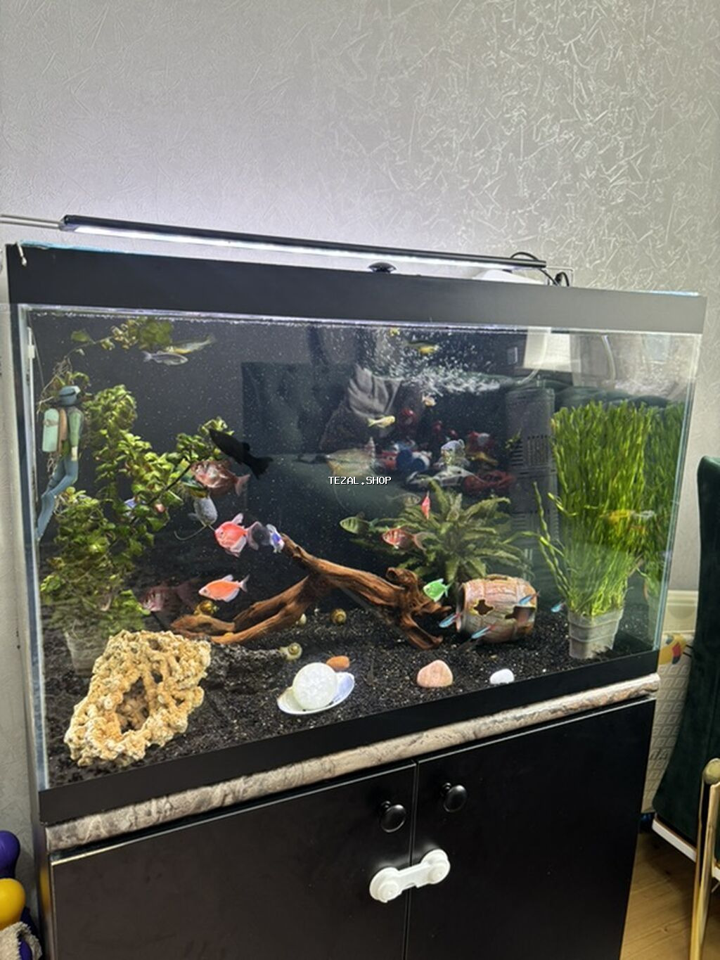 Akvarium-şkaf, Balıqlarla birlikdə, 130 l, Ünvandan götürmə - şəkil 3