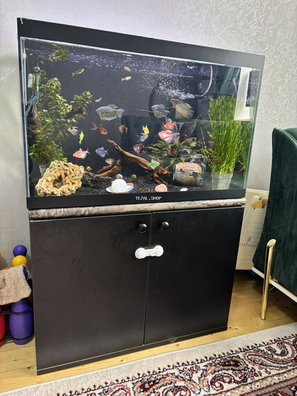 Akvarium-şkaf, Balıqlarla birlikdə, 130 l, Ünvandan götürmə - şəkil 4