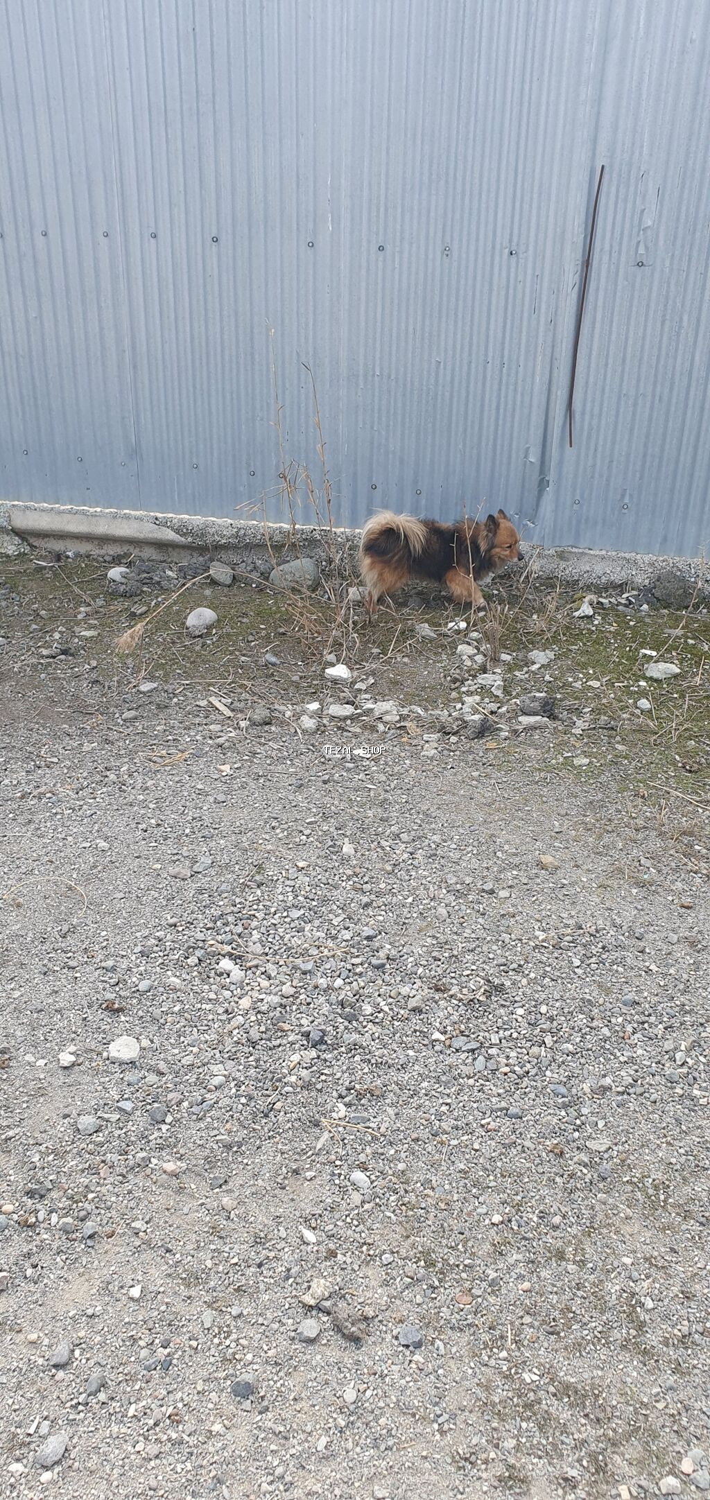 Salam bu vidde zvanok it axtariram kimde varsa elaqe saxlasin aliram