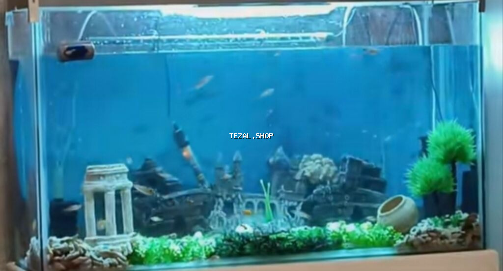 Dördbucaq akvarium, Balıqlarla birlikdə, 180 l, Pulsuz çatdırılma