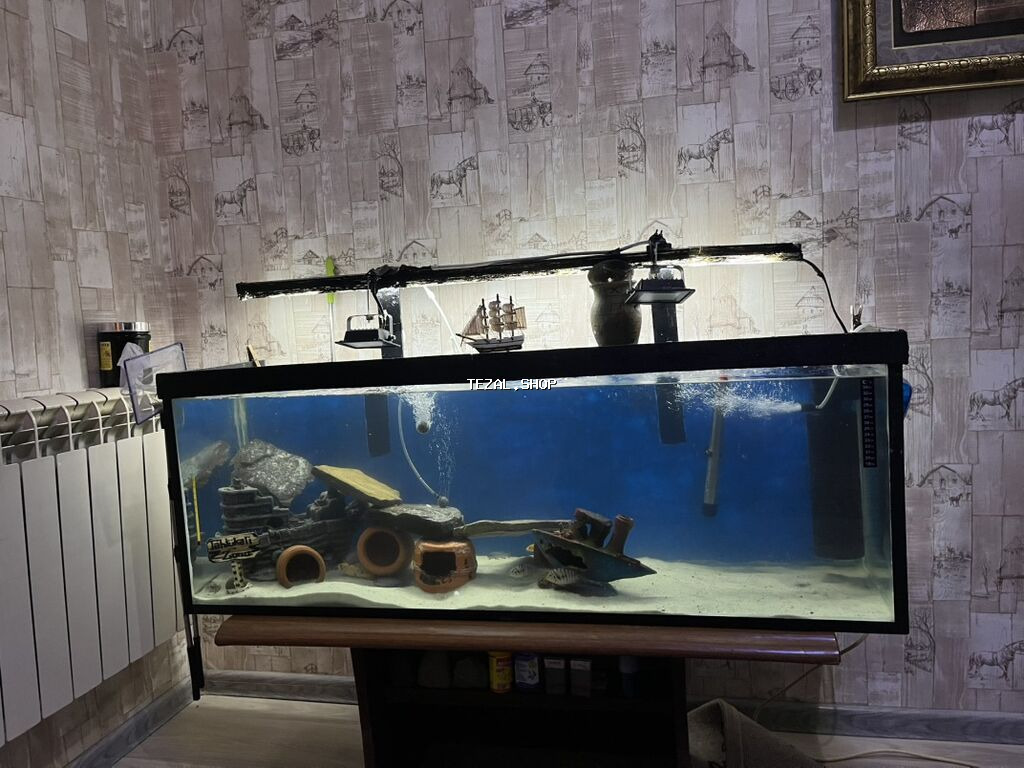 Dördbucaq akvarium, Balıqlarla birlikdə, 200 l