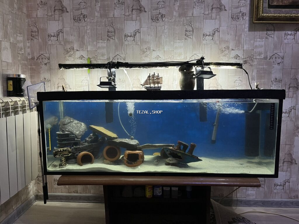 Dördbucaq akvarium, Balıqlarla birlikdə, 200 l - şəkil 2