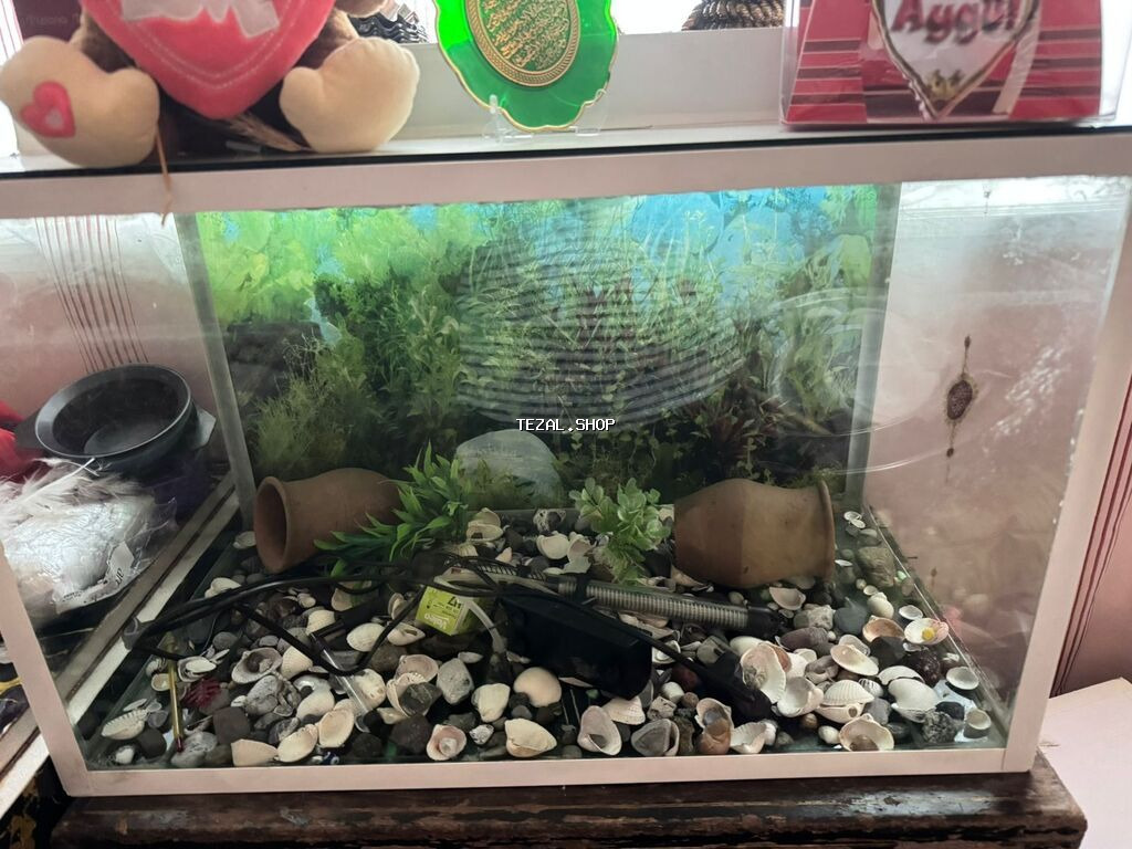 Akvarium 180 azn ölçü 67*40 icin aksesuarladi verilir tecili satilir