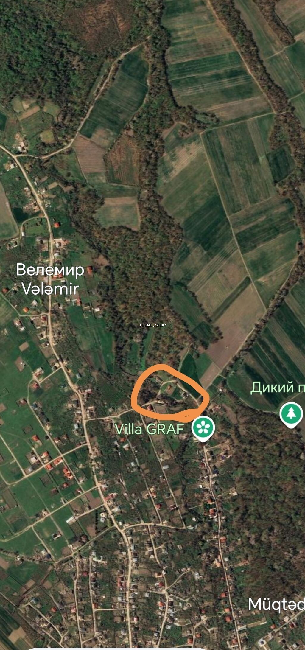 80000 kv. m, 4 otaqlı, Hovuzlu, Kombi, Qaz, İşıq - şəkil 4