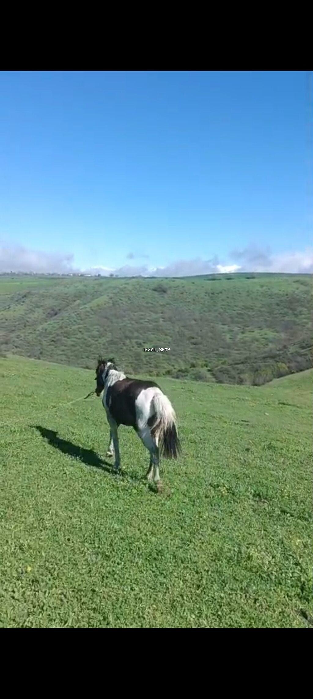 Satılır Qiymət 1200m istəyən 050 641 85 17 əlaqə saxlasın - şəkil 3