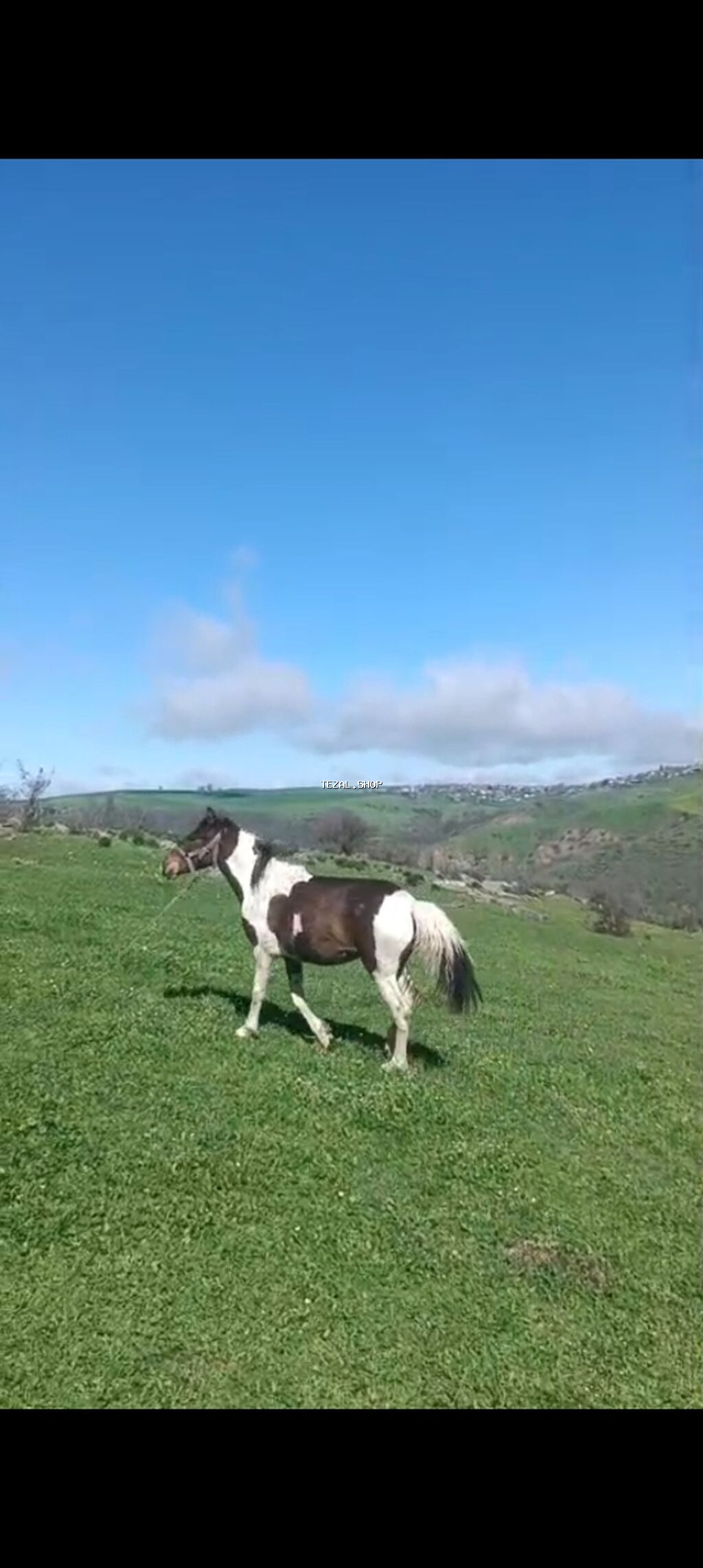 Satılır Qiymət 1200m istəyən 050 641 85 17 əlaqə saxlasın - şəkil 4