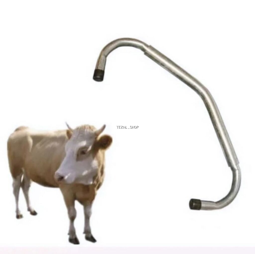 Təkməsavar 
Yeni