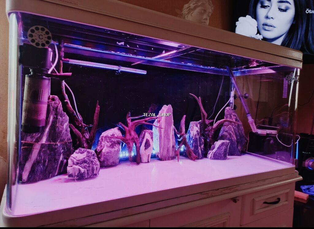 Zavod akvarium 1.20_60_45 ölçüde üsdündə bio filteri de verilir fikri