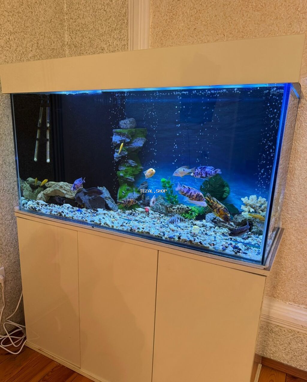 . Salam.Akvarium altligilə birlikdə satilir Uzunlugu 1.20 Eni 50