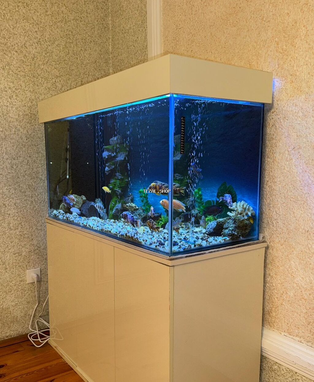 . Salam.Akvarium altligilə birlikdə satilir Uzunlugu 1.20 Eni 50 - şəkil 2
