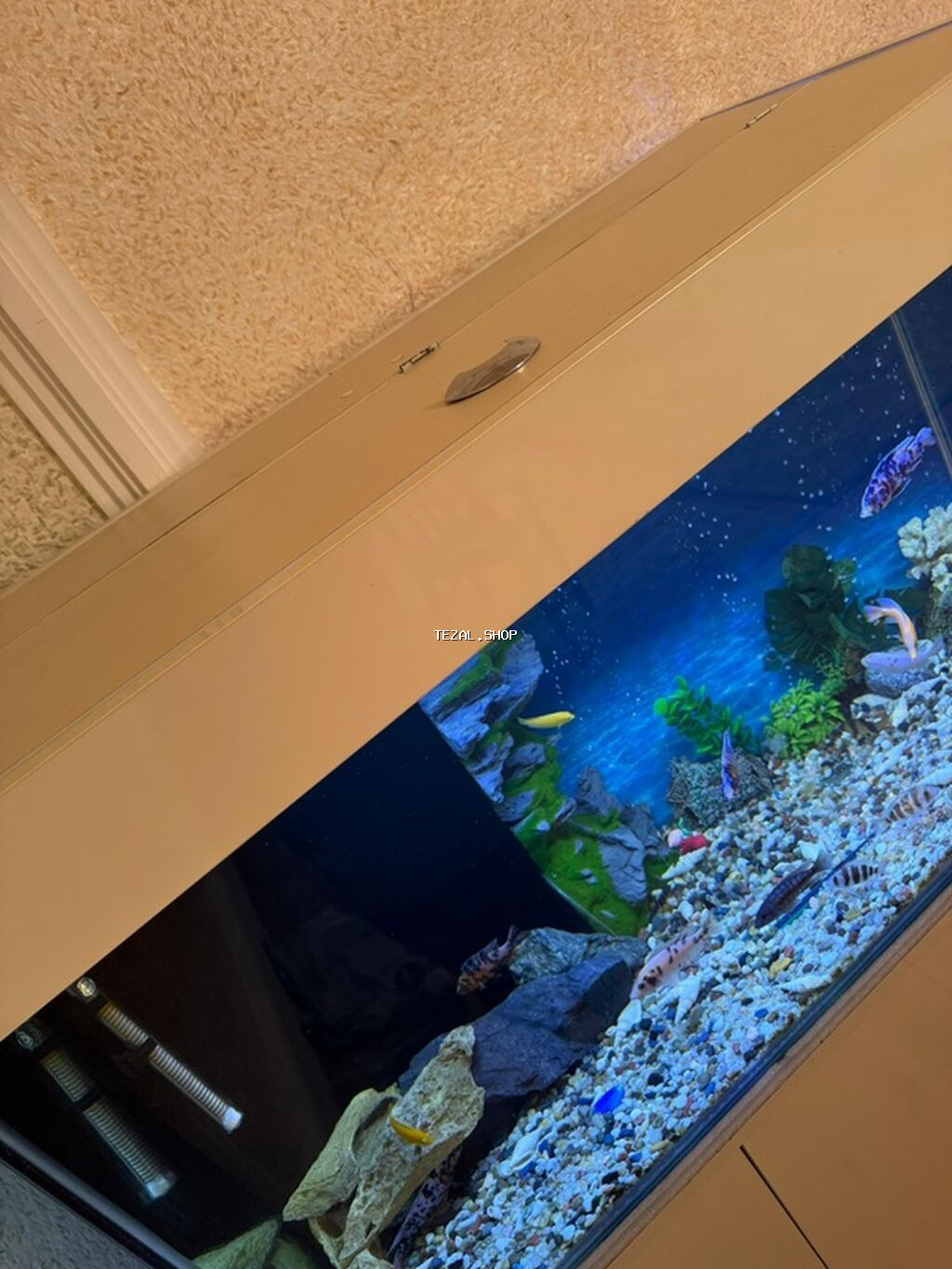 . Salam.Akvarium altligilə birlikdə satilir Uzunlugu 1.20 Eni 50 - şəkil 3
