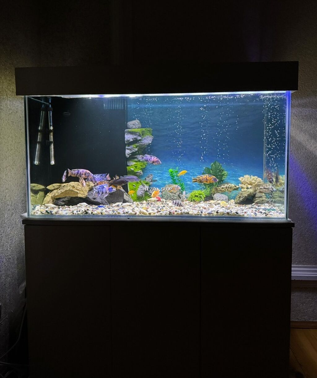 . Salam.Akvarium altligilə birlikdə satilir Uzunlugu 1.20 Eni 50 - şəkil 4