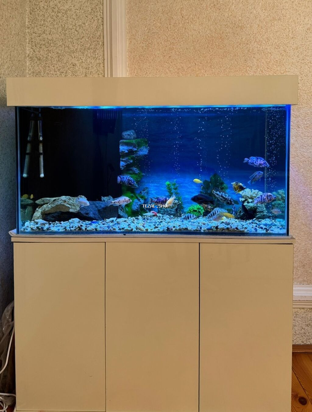 . Salam.Akvarium altligilə birlikdə satilir Uzunlugu 1.20 Eni 50 - şəkil 5