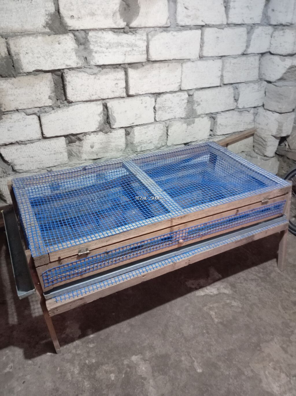 Qefes cuce ucun zakasla yigilir unvan Neftçala rayonu