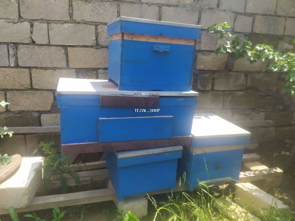 Az istifadə olunub 4 ədəddir hamsı biryerdə 100 azn boş boş narahat