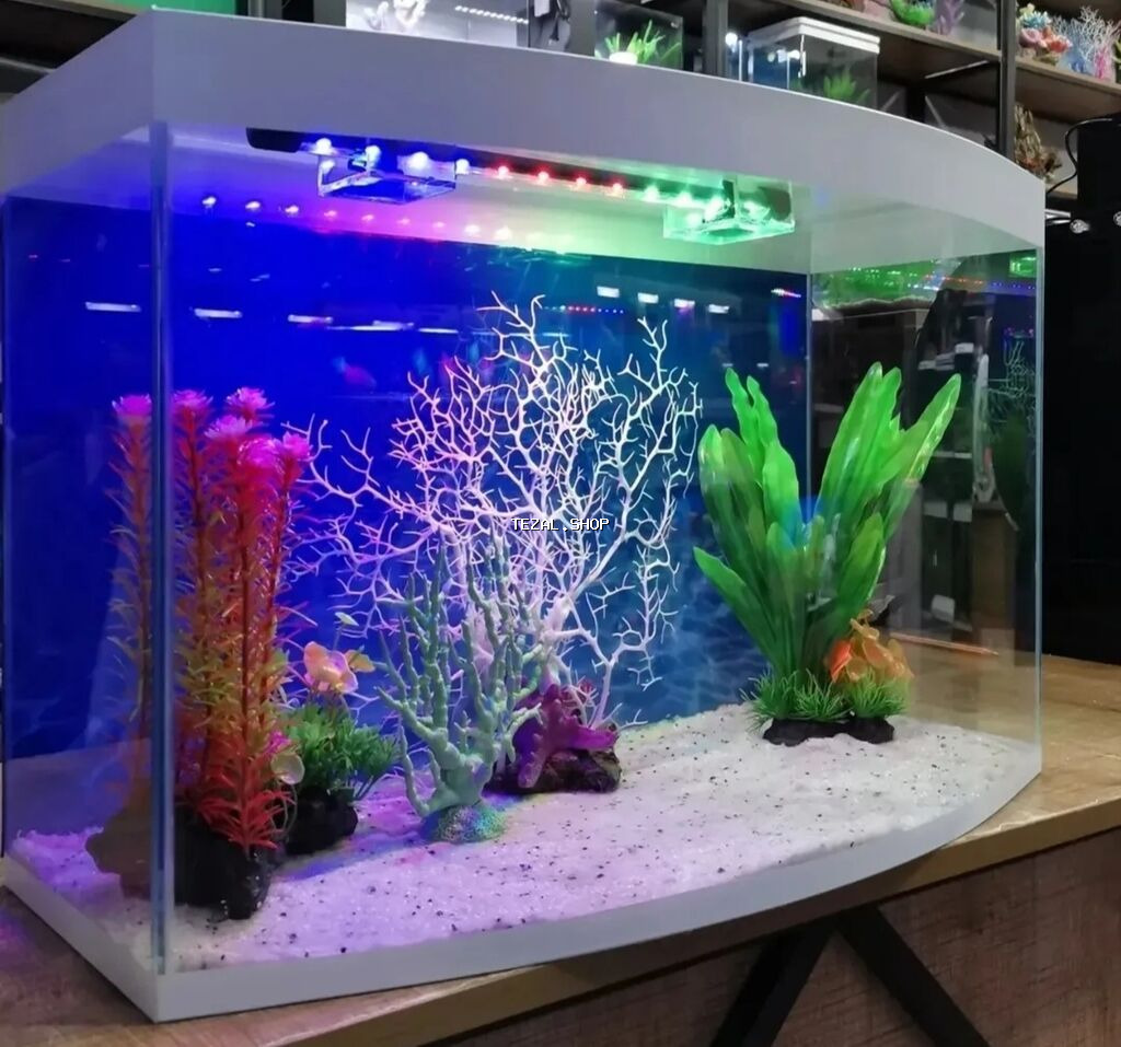 Boş, 10 l, Ödənişli çatdırılma, Ünvandan götürmə - şəkil 2