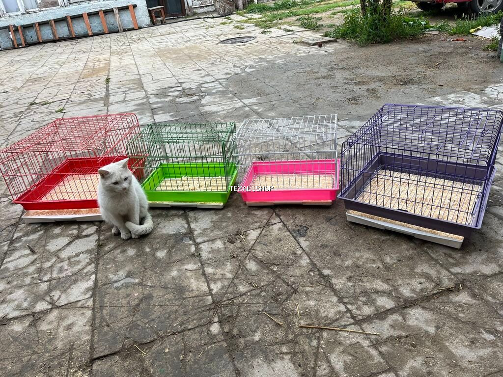 Etrafli vp 051 494 09 86 Qefeslerin her biri satişda var qefes bitende - şəkil 5