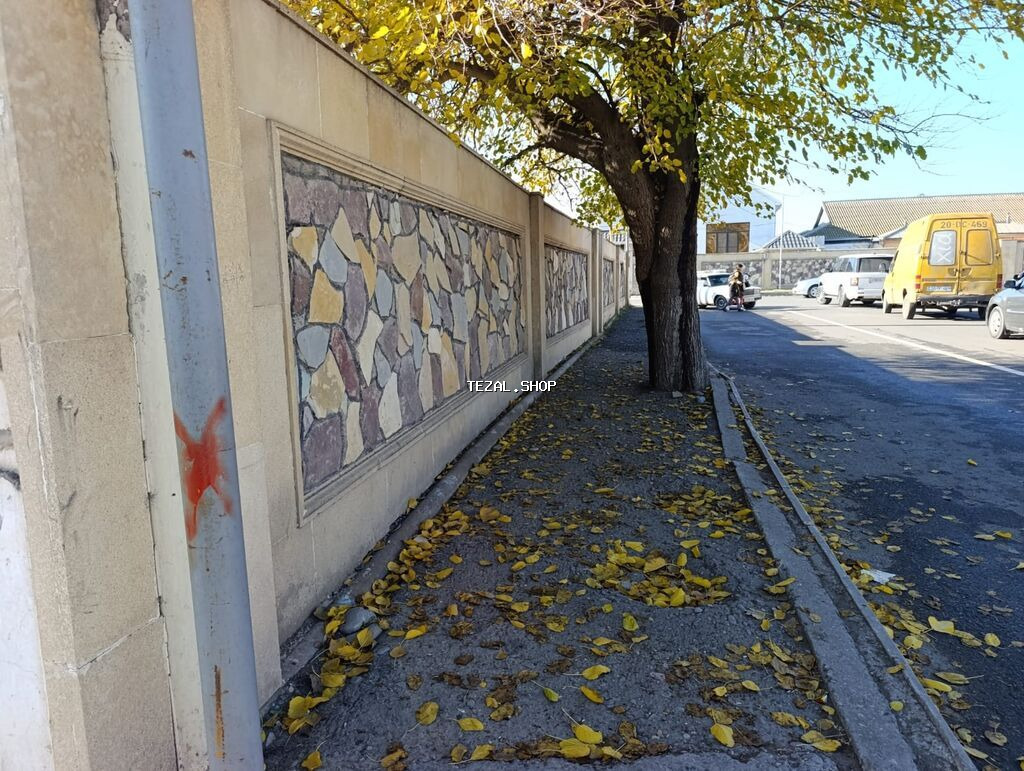 Biznes üçün - şəkil 2