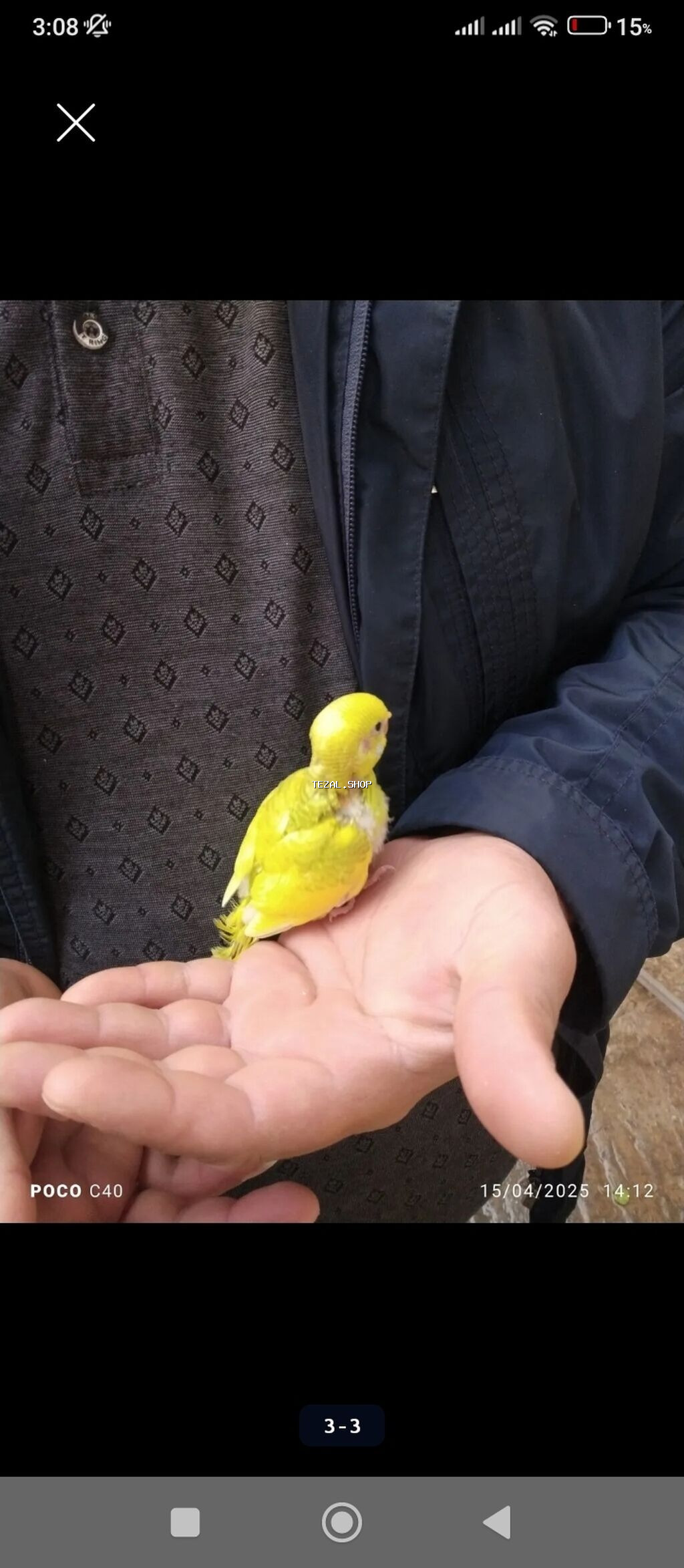Balalae mehebbet qusu 20 azn en gözel rengler watsapla yiğin