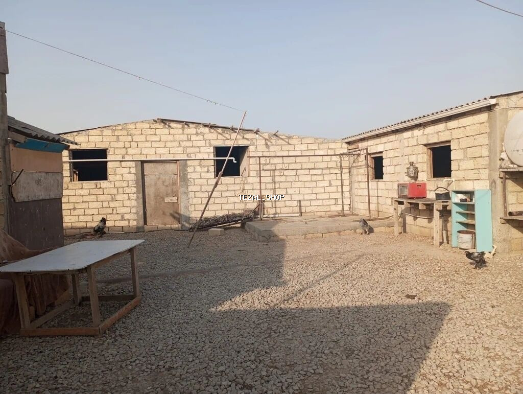 12 sotun içində həyatyanı ferma satılır.70 baş iri buynuzlu mal - şəkil 2