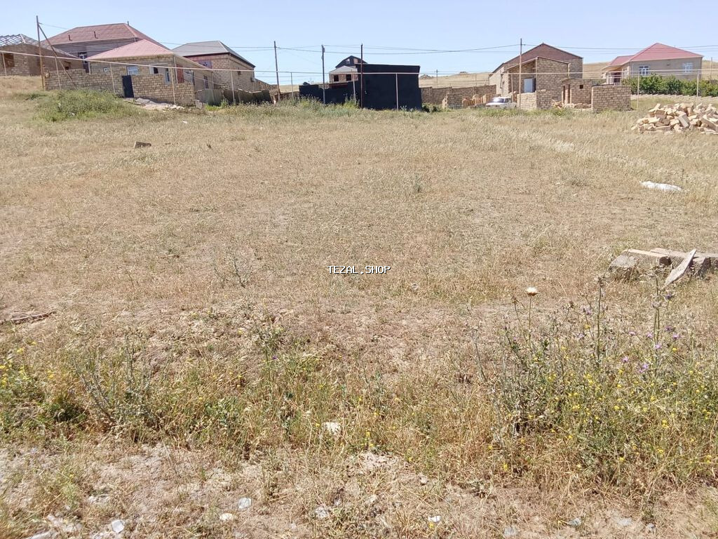 8 sot, Tikinti, Mülkiyyətçi, Kupça (Çıxarış)