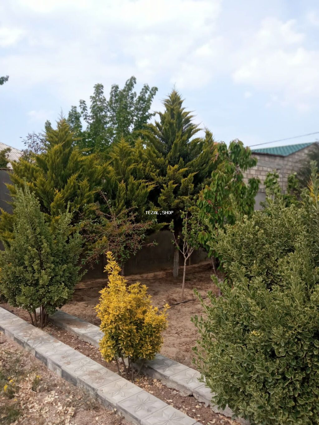 Sabunçu qəs., 210 kv. m, 5 otaqlı, Hovuzlu, Kombi, Qaz, İşıq - şəkil 3