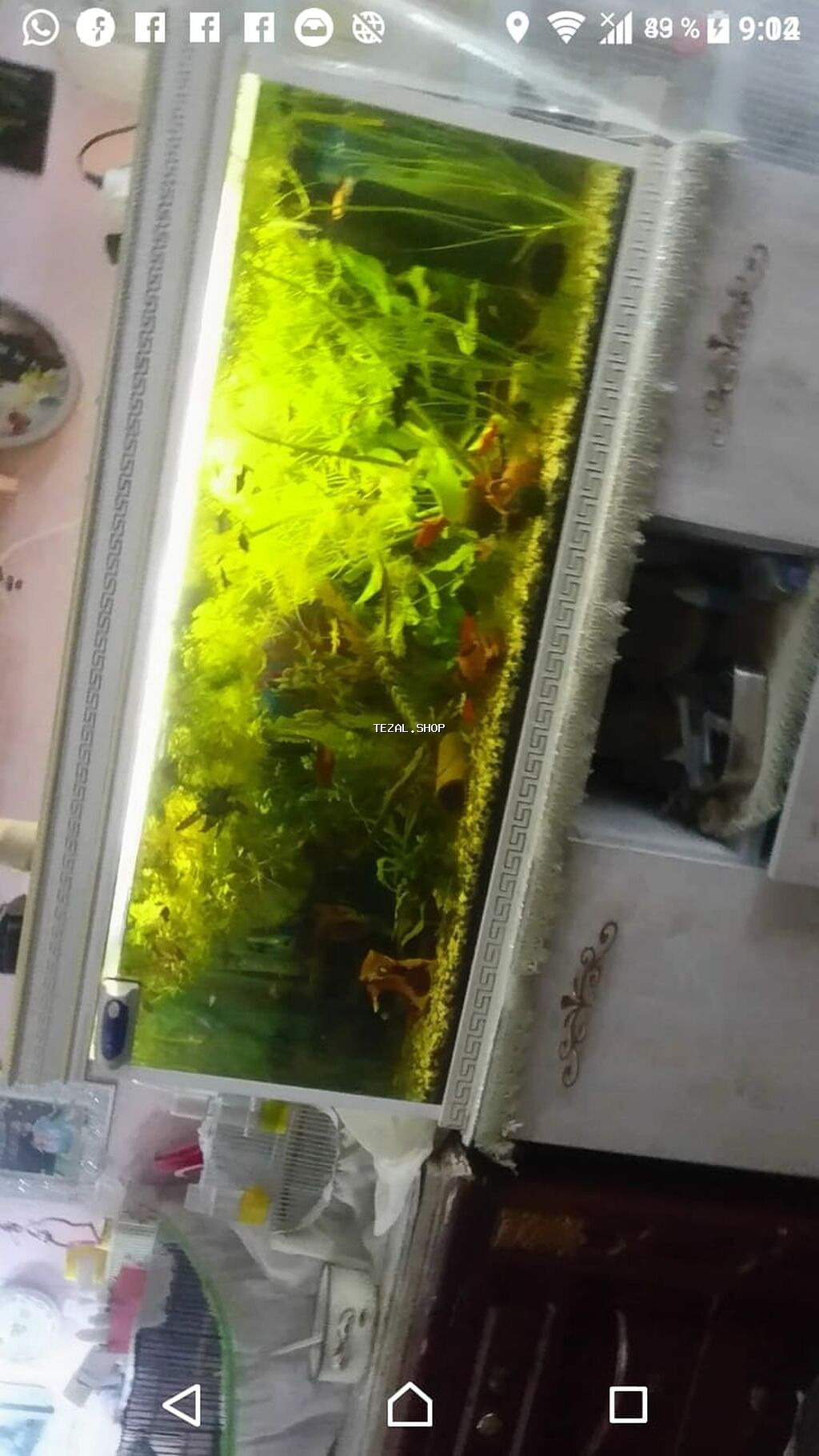 Akvarium-şkaf, Balıqlarla birlikdə, 227 l - şəkil 2