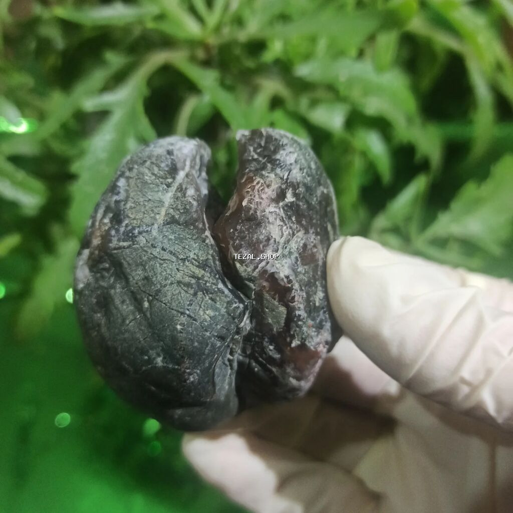 Təbii Göyərçin Qanı Daşı Satılır | Premium Pigeon Blood Original - şəkil 3
