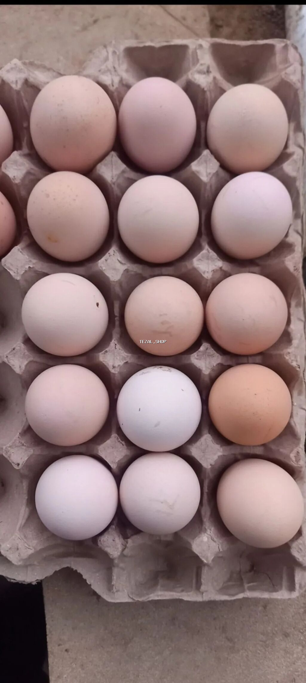 Heyrati yumurtasi 2 manat Almiyanlar Bosuna Zeng edib narahat elemesin