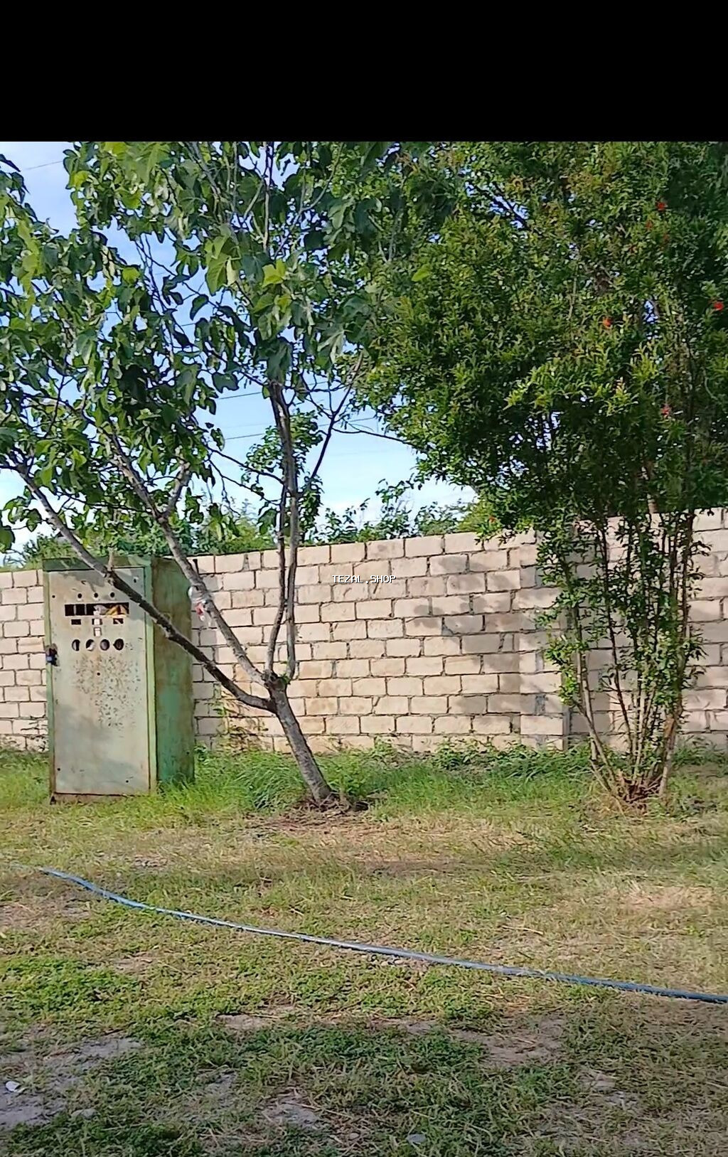 Kirayə verilir: həyət evi (bağ evi) Salam iyun Ayinin 15 den sora