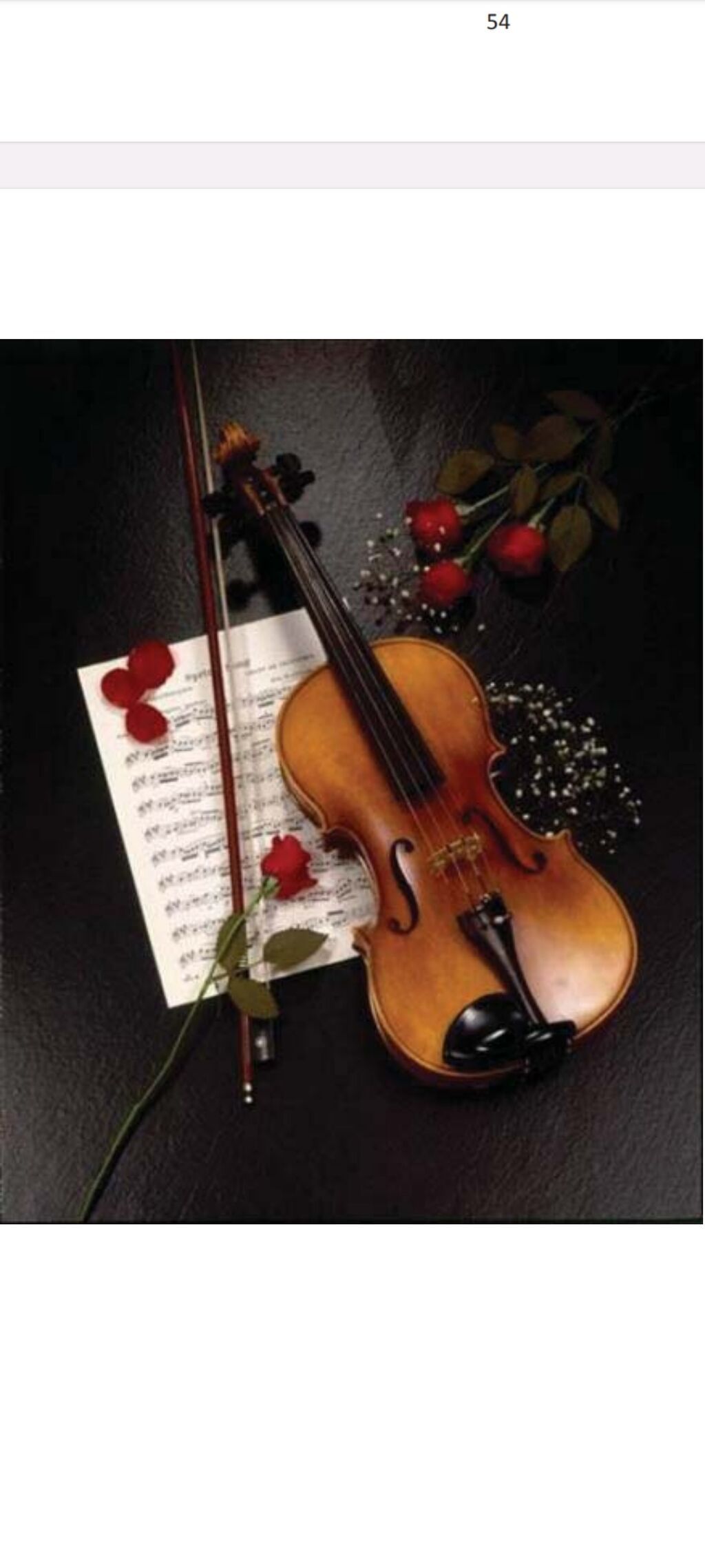 Skripka və piano çalmağı öyrənmək istəyənlər üçün, Peşəkar Skripka və