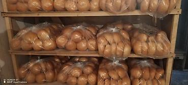 DÖNƏR ÇÖRƏYİ Sifarişi qəbul olunur BATON çörəyi BURGER çörəkləri - şəkil 5