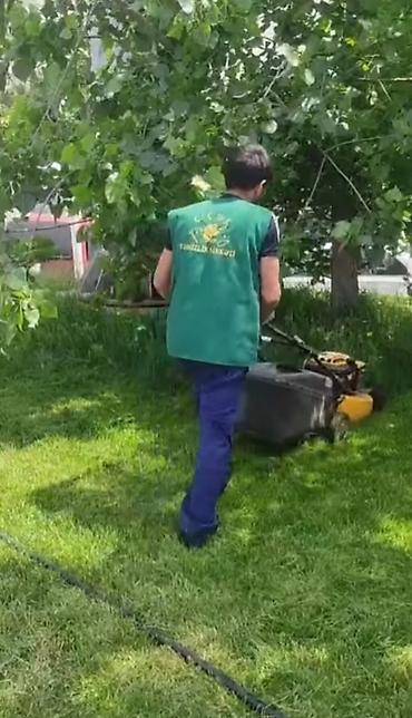 Təmizlik | Ofislər | Ümumi təmizlik, Gündəlik təmizlik, Təmirdən sonra təmizlik - şəkil 2