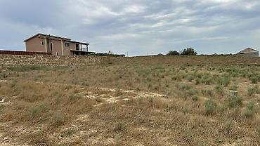 11 sot, Kənd təsərrüfatı, Mülkiyyətçi, Kupça (Çıxarış) - şəkil 2